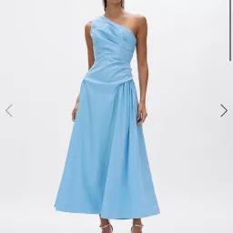 Rachel Gilbert Banksia Midi Dress Size 3/AU 12 for rent on The Volte - image 1