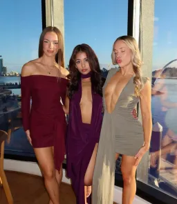 MISHA Jennifer Cupro Sage XS for rent on The Volte - image 2