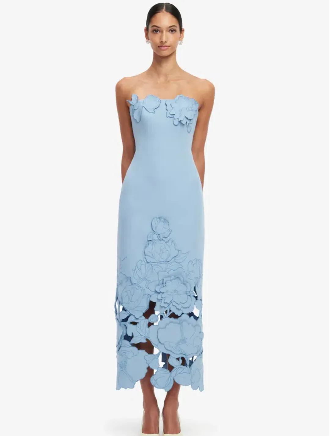 Leo Lin Rayna Appliqué Bustier Maxi Dress Light Blue - Size 12 for rent on The Volte - main image