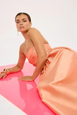 PASDUCHAS PIPPA STRAPLESS MIDI SIZE 10 for rent on The Volte - image 2