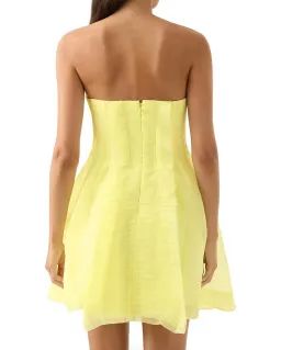ASTRID PLEAT PANEL MINI DRESS for rent on The Volte - image 3