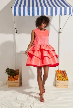 Celia B Pilar Mini Dress Size XS for rent on The Volte - image 1