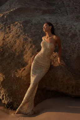 Jacquetta Dress for rent on The Volte - image 1