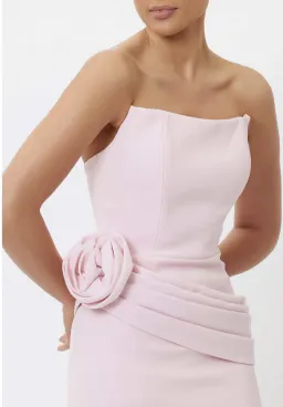 Bianca & Bridgett Illiyana Maxi Dress Light Pink - 8 for rent on The Volte - image 4