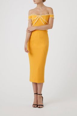 Rachel Gilbert Kiki Dress Yellow Size 10 for rent on The Volte - image 1