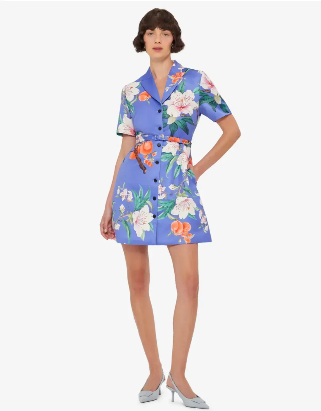 Leo Lin Brigette Mini Dress; size 12 for rent on The Volte - main image