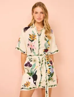 Alemais Meagan Mini Dress in Multi Print Size 8 for rent on The Volte - image 1