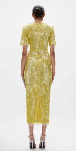 Rachel Gilbert Kaia Sleeve Dress - worn once for rent on The Volte - image 3