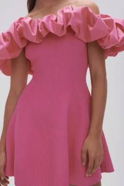 AJE Eldora Mini Dress for rent on The Volte - image 3