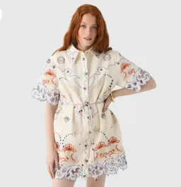 Antipodean Matchmakers Yoke Shirt Dress for rent on The Volte - image 4