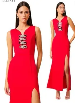 Ellliatt Cherie Maxi Dress for rent on The Volte - image 4