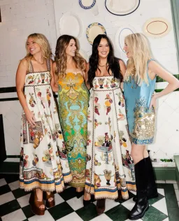 Alemais Mercado Summer Dress size 8 for rent on The Volte - image 2