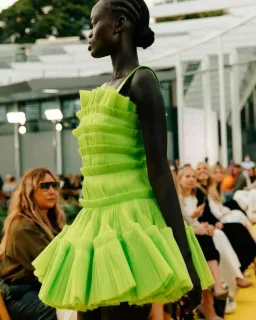 AJE Jacinto Dress in Citrus Size 6 for rent on The Volte - image 3