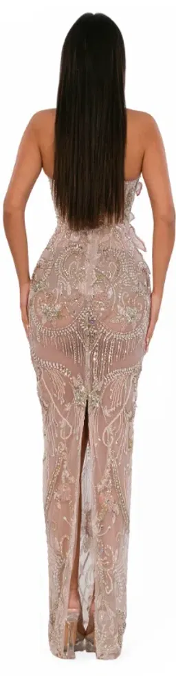 ALBINA DYLA POWDER SHEER FLORAL CRYSTAL GOWN SIZE M for rent on The Volte - image 2