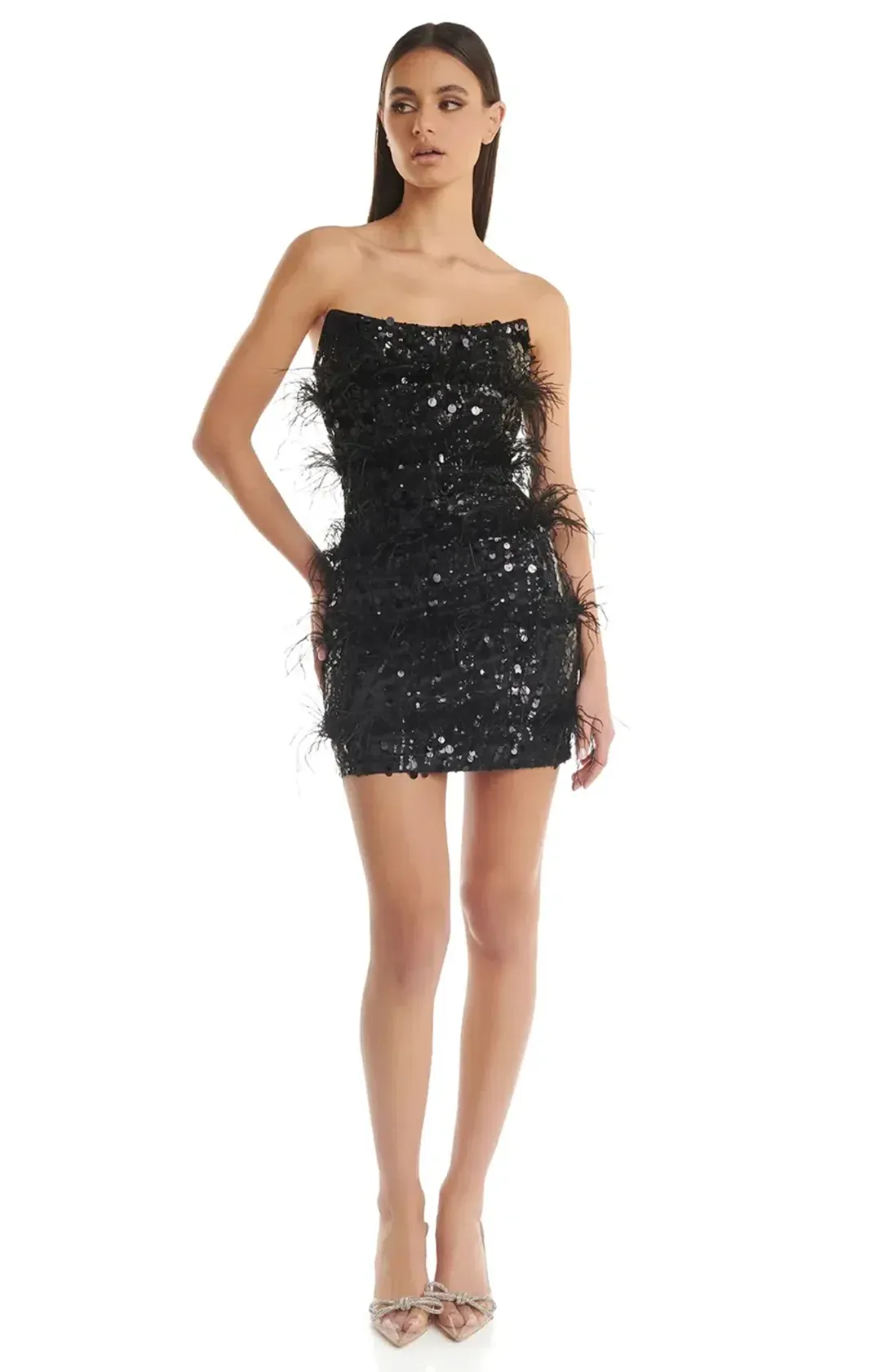 Eliya The Label Tiffany Black Feather & Sequin Mini Dress Size 10 for rent on The Volte - main image