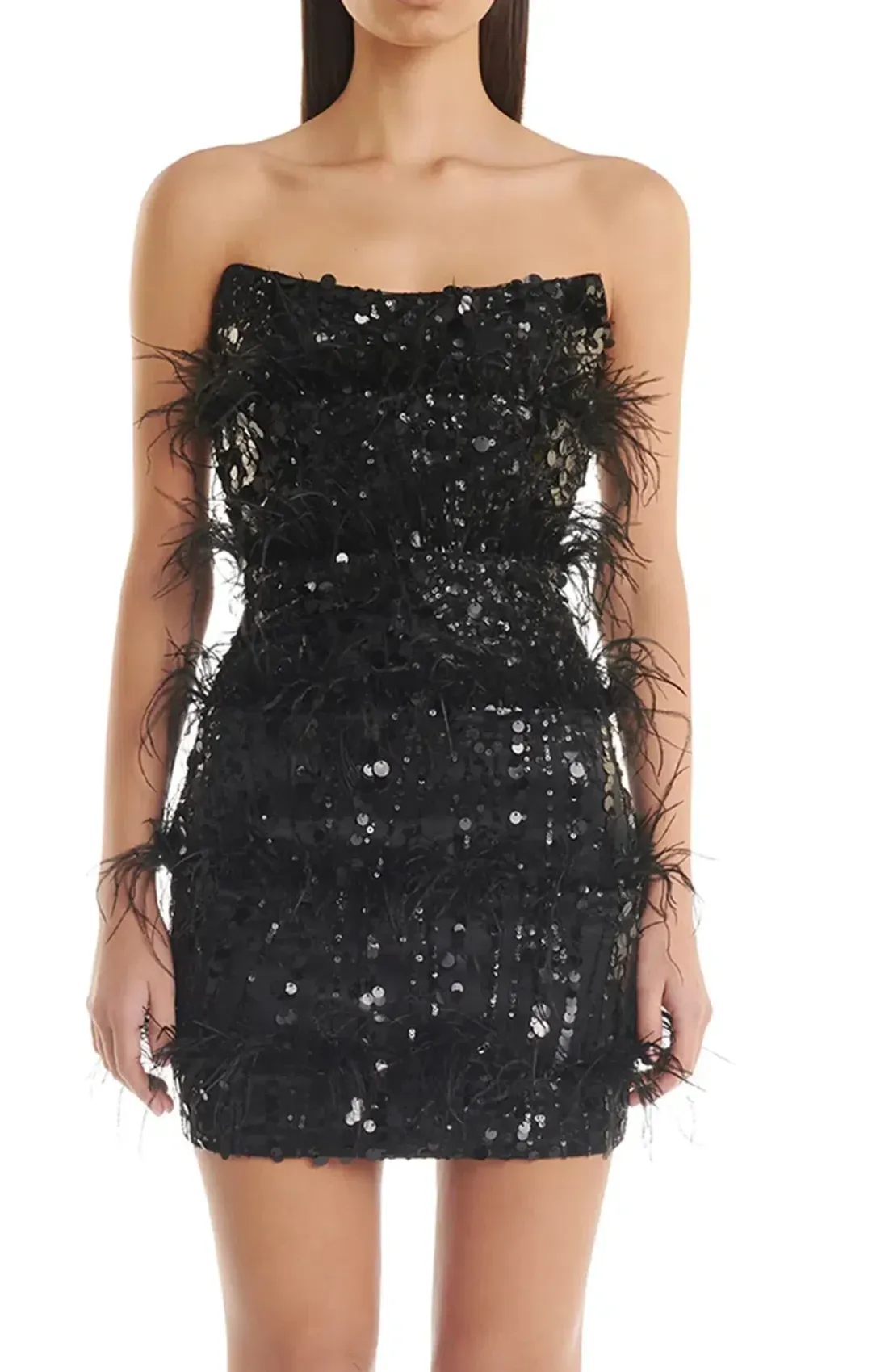 Eliya The Label Tiffany Black Feather & Sequin Mini Dress Size 10 for rent on The Volte - main image