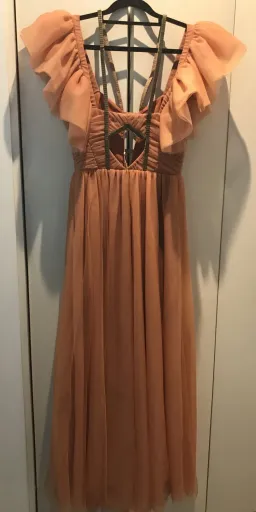 Sass & Bide WILD TEDDY DRESS Size 6 for rent on The Volte - image 4