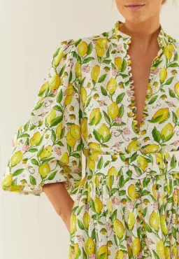 Palm Noosa's Royal Flush Dress Lemon Print for rent on The Volte - image 4
