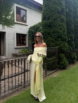 Benni berni maxi dress for rent on The Volte - image 1