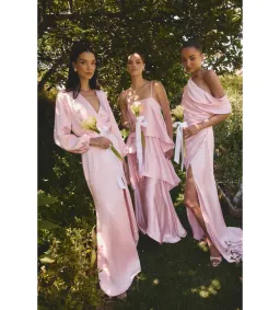 Elliatt Tilly Tiered Maxi Dress in Pale Pink Size 14 for rent on The Volte - image 2