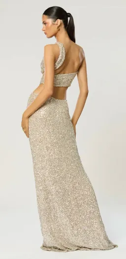 Winona Sterling Sash Dress for rent on The Volte - image 2