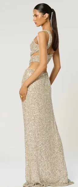 Winona Sterling Sash Dress for rent on The Volte - image 4