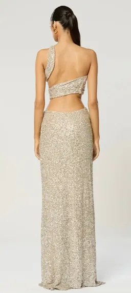 Winona Sterling Sash Dress for rent on The Volte - image 3