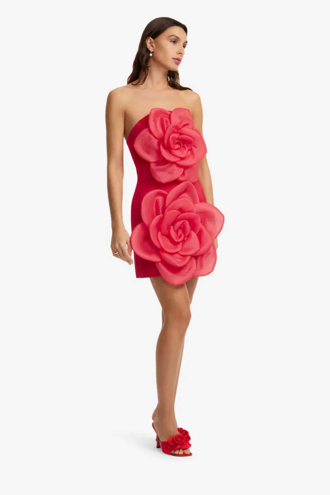 Leo Lin Floret Mini Dress- 8 for rent on The Volte - main image