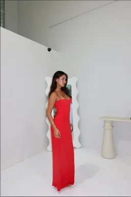 Manning Cartell Double Time Pleat Dress Red Size 8 for rent on The Volte - image 2