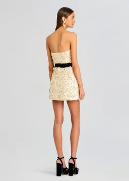 Retrofete Tate Dress for rent on The Volte - image 2