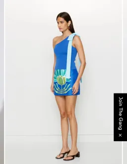 The Wolf Gang Solsana Mini Skirt and Tacha Top for rent on The Volte - image 1