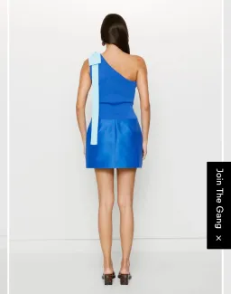 The Wolf Gang Solsana Mini Skirt and Tacha Top for rent on The Volte - image 4