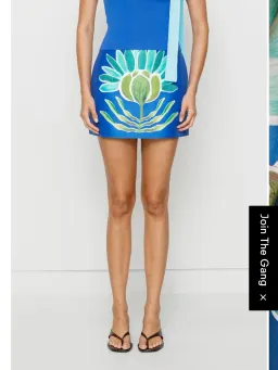 The Wolf Gang Solsana Mini Skirt and Tacha Top for rent on The Volte - image 3