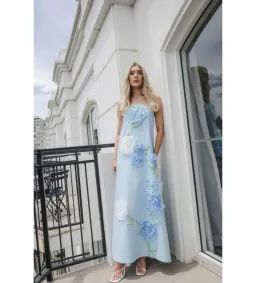 Elliatt Buttercup Embroidered Maxi Dress In Blue Size AU10 for rent on The Volte - image 1