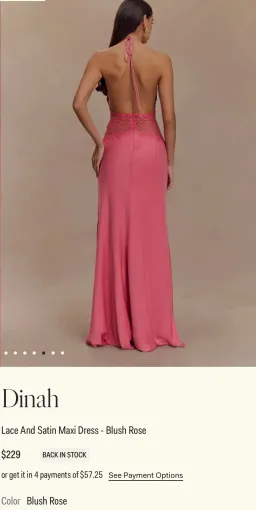 Dinah Lace And Satin Maxi Dress Blush Rose size 6 for rent on The Volte - image 4