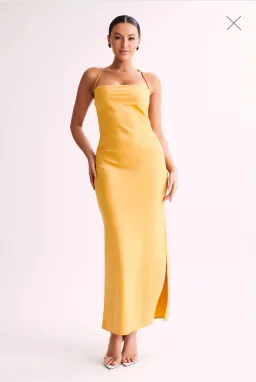 Sydney Straight Neck Slip Maxi Dress Yellow Size 6 for rent on The Volte - image 1