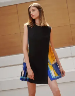 Saturday Club Side Printed Pleated Mini Dress Size 8 for rent on The Volte - image 4