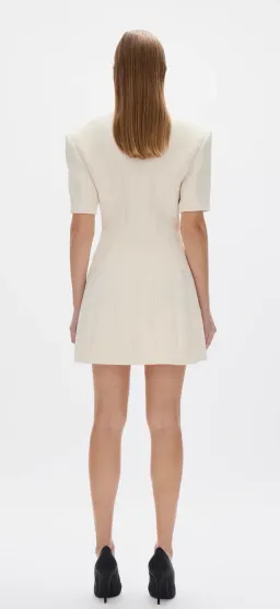 Rachel Gilbert Sergio Mini size 10 for rent on The Volte - image 4