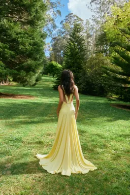 Ance Gria Rosa Gown Yellow/Lemon size XS for rent on The Volte - image 8