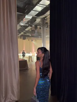 Rachel Gilbert zeph gown for rent on The Volte - image 2