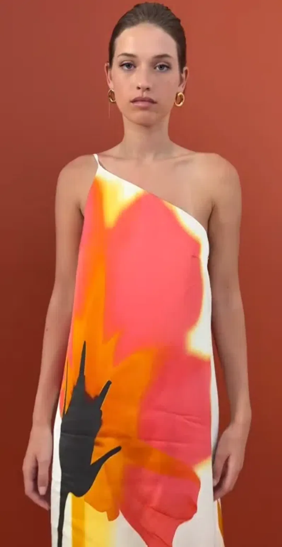 Sheike posey maxi dress for rent on The Volte - main image