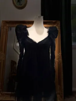Zimmermann Ruched Tulle Mini Dress – Black Size: 0P for rent on The Volte - image 4
