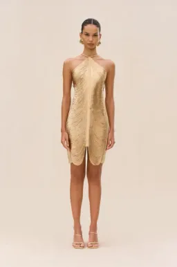 Cult Gaia Mara Dress for rent on The Volte - image 1