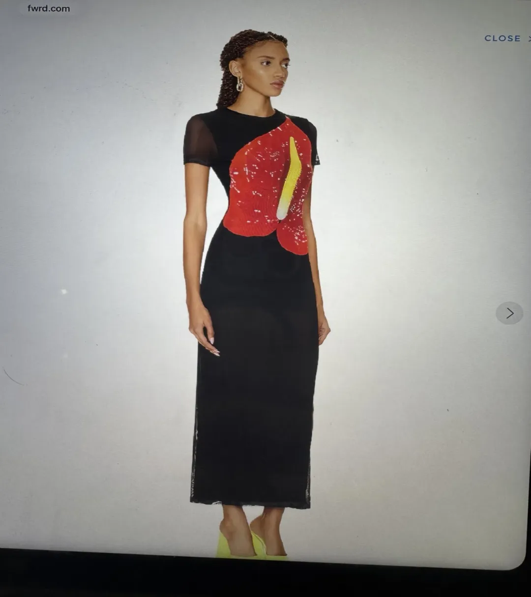 Loewe anthurium dress for rent on The Volte - main image