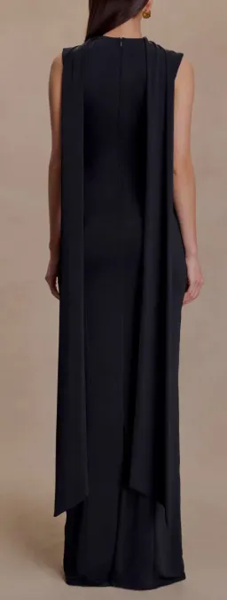 Wisteria Slinky Maxi Dress With Scarf for rent on The Volte - image 2