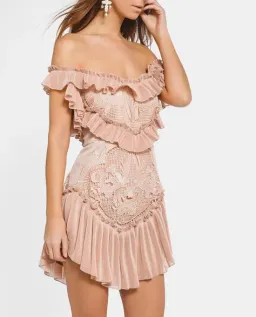 Alice McCall Lovebirds Dress Rose Pink Size 6 for rent on The Volte - image 4