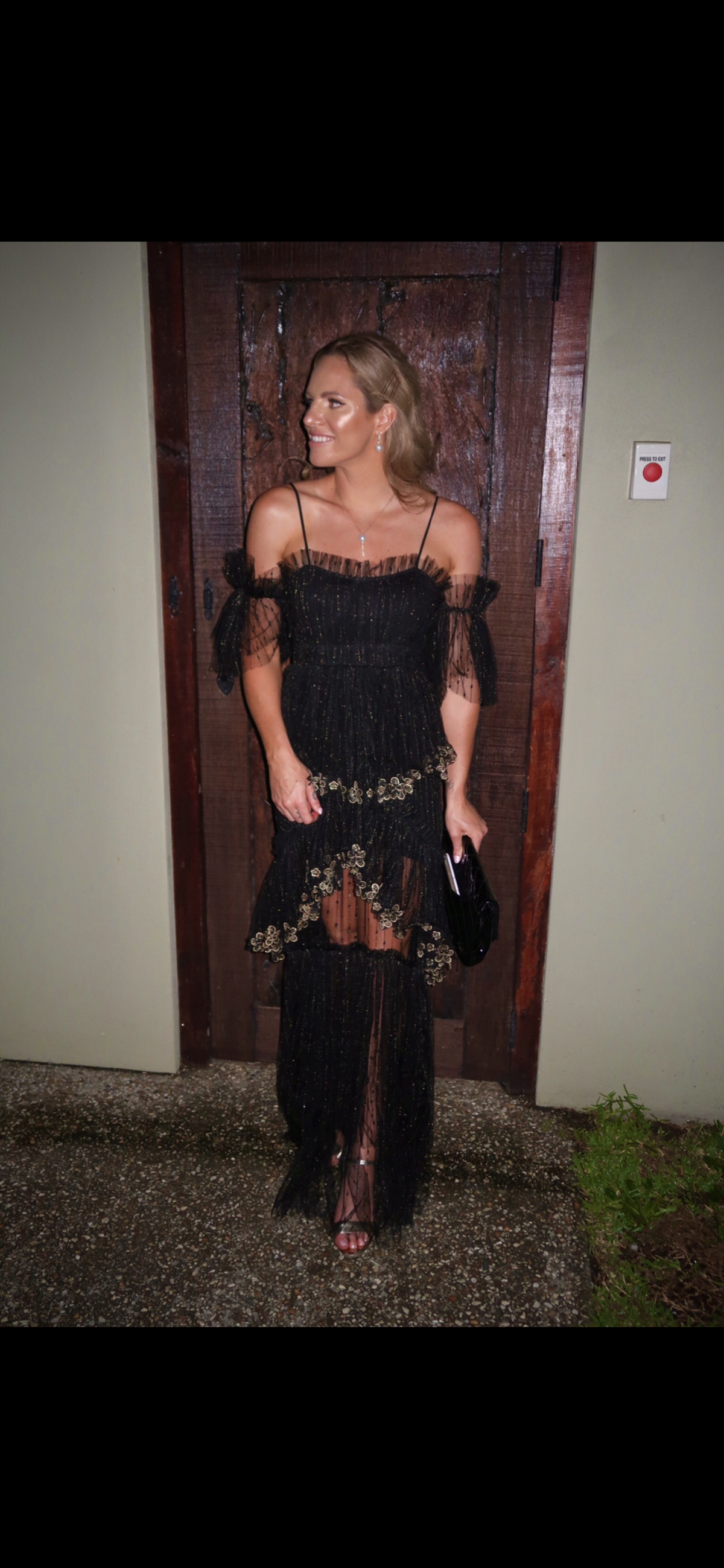 Alice McCall Ball gown - Image 2