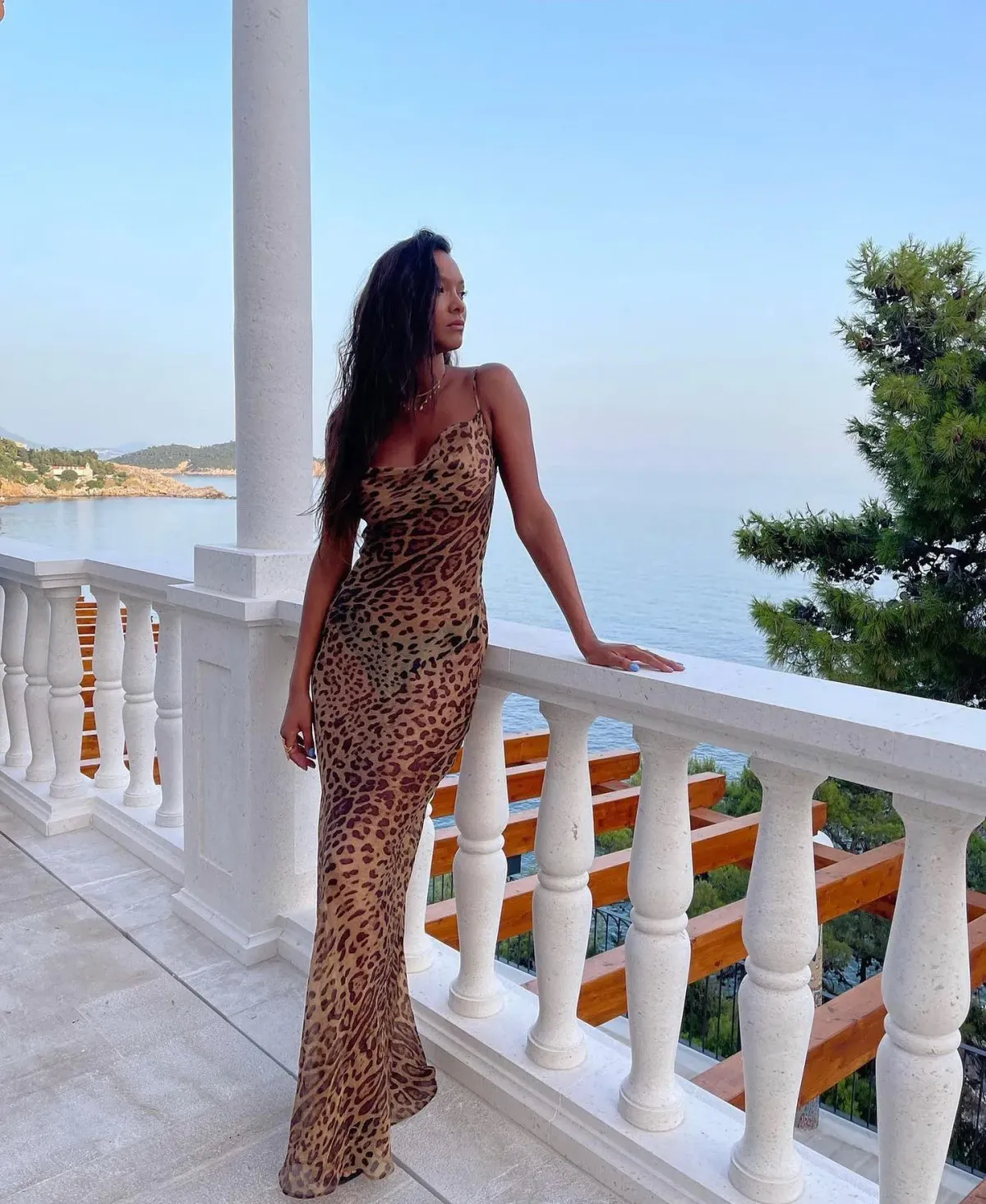 Rat & Boa Valentina Dress Animal Print Dress Size 6 - Image 2