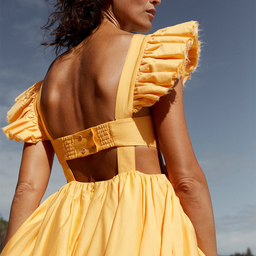 Aje Midsummer Mini Dress in Mango Size 8 for rent on The Volte - image 3