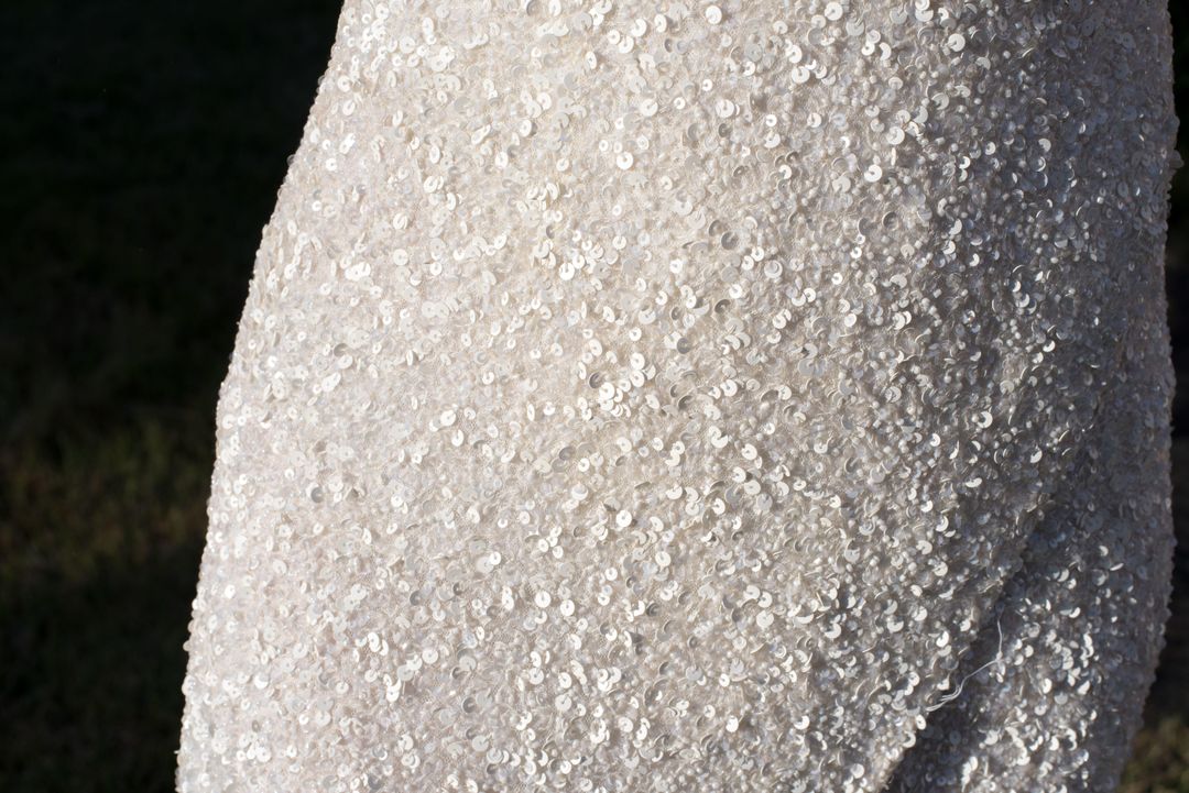 Rachel Gilbert Zali Dress White Size AU 6 for rent on The Volte - main image